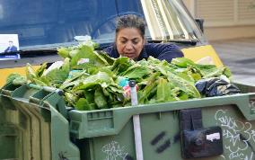 Athens woman sorts out vegetables in trash bin