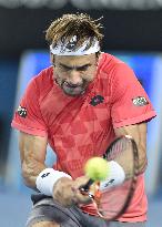 Ferrer wins in 3rd round at Australian Open tennis