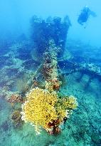 Japan's WWII tanker lies on seabed off Palau island