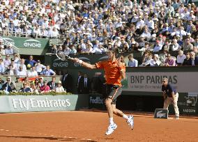 Djokovic overcomes Nadal in straight sets at French Open