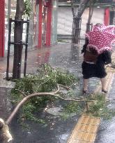 Typhoon Etau hits Okinawa, Amami area