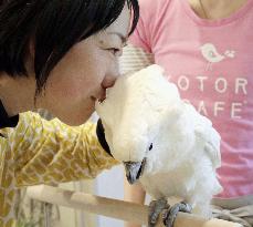 Bird cafe in Tokyo attracts young woman