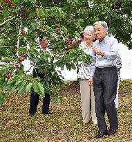 Emperor, empress pick cherries in Yamagata Pref.