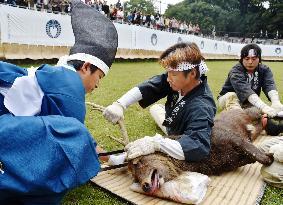 Deer antler cutting event starts in Nara