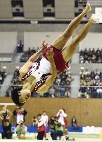 Gymnastics: "Shirai 3" new flip application to be filed