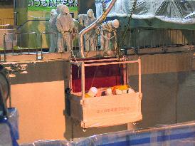 (4)Nuclear fuel reprocessing plant in Rokkasho
