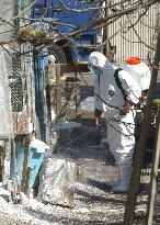 (3)Oita gov't starts inspections of poultry farms for bird flu