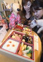 Mitsukoshi Osaka to sell New Year's dishes for dogs