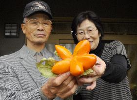 Unusual star-shaped persimmon found in Toyama