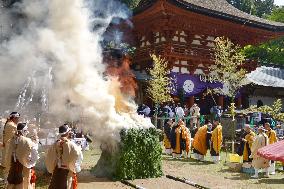 Sacred fire rite for 1st time in 150 yrs at Wakayama shrine