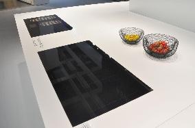 Panasonic exhibitS built-in IH cooking heater at IFA show