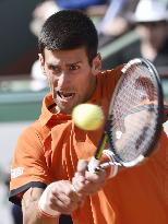 Djokovic overcomes Nadal in straight sets at French Open
