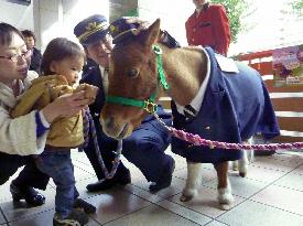 Pony 'stationmaster' promotes horseracing