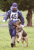 3-generation German shepherd family takes exam to become police dogs