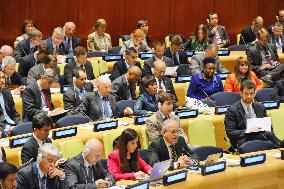 Plenary session of NPT review conference held