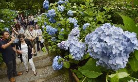 Rainy season starts in central, eastern Japan