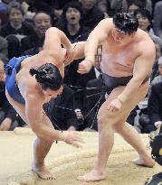 Asashoryu, Hakuho standing tall at spring sumo