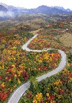 Leaves turn to red and yellow along Takeyama Kurobe Alpine Route