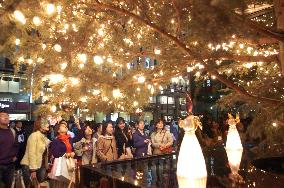 Christmas trees illuminated in Tokyo's Ginza