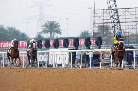 Japanese horse Golden Barows 3rd in UAE Derby race