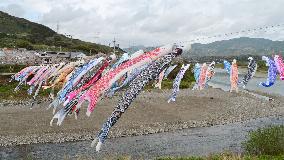 About 100 carp streamers fly over river in Wakayama Pref.