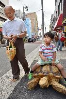 Tortoise takes stroll in downtown Tokyo