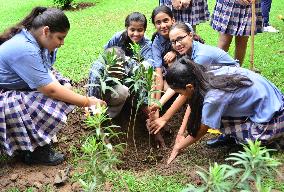 Oleander saplings mark Hiroshima bombing anniversary in Delhi