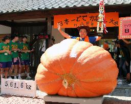 Heaviest pumpkin in Japan