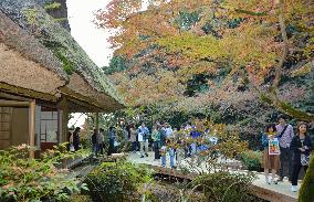 Garden opened to public for autumn leaves in southern Japan