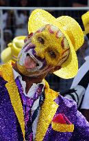 Cape Town celebrates New Year with minstrel carnival