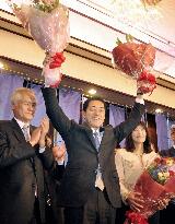 Ehime gubernatorial election