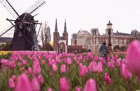 (12)Dutch city Huis Ten Bosch
