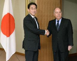 Japan, Brazil reaffirm cooperation over U.N. Security Council reform