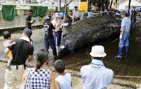 Whaling tradition in Japan communities