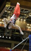 Uchimura takes 1st World Cup title
