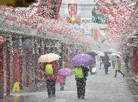 Wide areas of Japan hit by snow