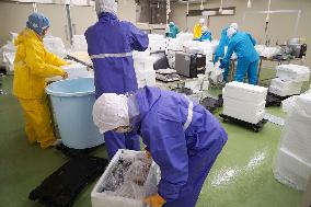 Marine product sorting, processing facility opens at Haneda airport