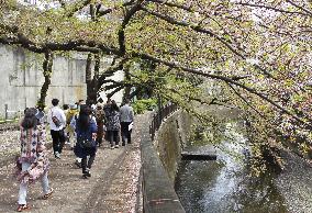 River flows through film studio in Tokyo's movie town