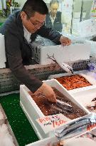 Saury sold for highest price in decade in Hokkaido
