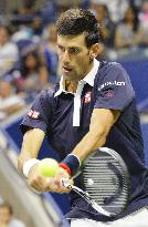 Djokovic advances to U.S. Open semifinal