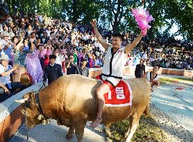 Winner of ssireum wrestling competition in N. Korea