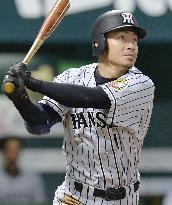 Gomez, Toritani power Tigers to victory over Hawks