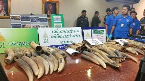 Thai customs seizes 250 kg of Laos-bound elephant ivory