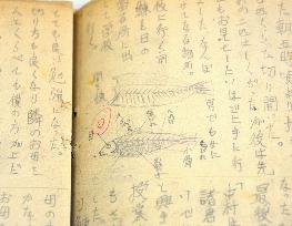 Hokkaido man keeps diary since 1945 without skipping single day