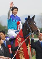 (2) Admire Groove wins 2nd straight Queen Elizabeth Cup