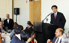 Japan presses bid for permanent U.N. Security Council seat