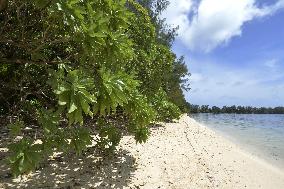 Orange Beach on Palau's Peleliu Island