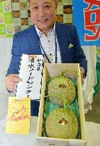 Hokkaido melons fetch 1.5 million yen at season's 1st auction