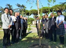 Japanese youths plant cherry tree at pope's summer retreat