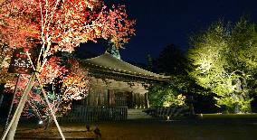 Temple beautifully lit up in Fukushima